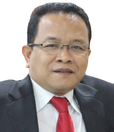 Dr. Nur Hidayat Sardini, S.Sos., S,H., M.Si.