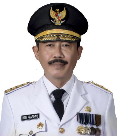 Prof. Dr. Drs. H. Hadi Prabowo, M.M.