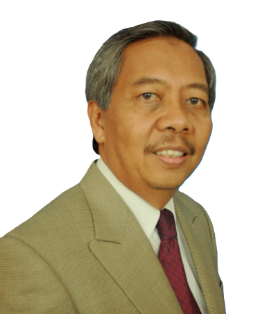 Prof. Sudharto P. Hadi, M.ES., Ph.D.